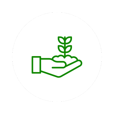 Nettoyage ecologique